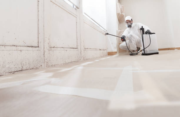 24/7 Emergency Black Mold Remediation experts in Marshall, IL